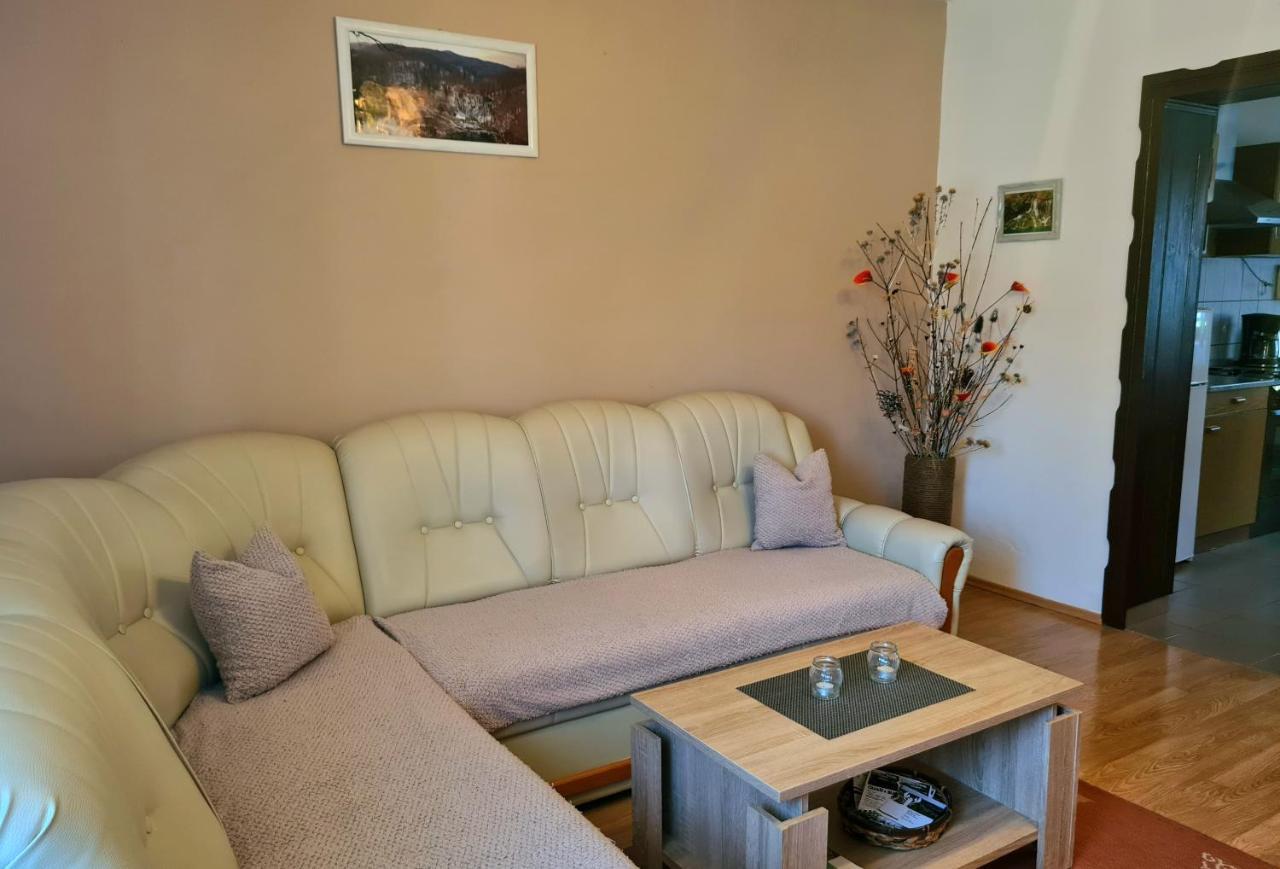 Apartment & Room Monika Rakovica Bagian luar foto